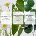 NEOGEN DERMALOGY Real Heartleaf Soothing Daily Mask & Toner Pad - Hydrating Skin Care Set | International Shipping - Buy Online on GoSupps.com