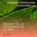 Spirulina Chlorella BIO - 360 tablets of 500mg - High Quality - Rich in Proteins Minerals & Antioxidants - High Dosed No Additives & Vegan - Buy Online on GoSupps.com