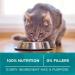 Purina ONE True Instinct Grain Free Dry Cat Food High Protein Chicken - 6.53 kg Bag 6.53 kg (Pack of 1) - Buy Online on GoSupps.com