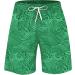 Ronony Men s Green Summer Shorts - Loose Fit Casual Jogging & Fitness Pants | Bermuda Training & Beach Shorts (4XL) - Buy Online on GoSupps.com