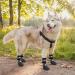 Kooltail Non-Slip Dog Socks | Waterproof Outdoor Dog Shoes with Traction Control & Pfot Protection | Dark Gray Medium - Perfect for Hardwood Floors - Buy Online on GoSupps.com