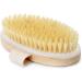 Organic Body Brush for Dry Skin - Lymphatic Drainage & Cellulite Treatment with Natural Wild Boar Bristles | Spa Peeling & Massage - Medium Oval - Buy Online on GoSupps.com