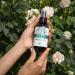 Alteya Organic White Rose Water Spray 60ml Glass - Pure Organic Rosa Alba Hydrolat - USDA Certified Organic - Sensitive Skin - Face Toner Revitalizing Body Condition Hair & Scalp - Buy Online on GoSupps.com