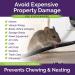 Rodent Repellent Spray 2X Strength - Peppermint Oil - MAX Power for Home, RV, Car, Camper, Boat - Natural Mouse & Rat Repellent (2 Pack) - Buy Online on GoSupps.com