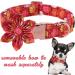 Unique Style Paws Halloween Dog Collar - Comfortable Cotton Flower Design for Small Dogs - XS Pumpkin Collar with Metal Buckle (8-12in) - Buy Online on GoSupps.com
