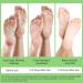 Masque Pieds Exfoliant 3 Paires Soin pour Pieds Secs Talons Fendus Callosit s Retire la Peau Morte Pieds Doux Spa la Maison ou Voyage(Aloe Vera) - Buy Online on GoSupps.com