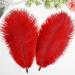 THARAHT 24pcs Red Ostrich Feathers 10-12Inch for Wedding & Party Centerpieces - Bulk Natural Feathers for Easter, Gatsby & Home Decor - Buy Online on GoSupps.com