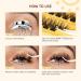 Self-Adhesive Eyelash Clusters | QUEWEL Natural Look No Adhesive Required | 40 PCS Reusable DIY Eyelash Extensions for Beginners | Easy to Use (ZN06) - Buy Online on GoSupps.com