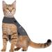 Thundershirt for Cats Large - Buy Online on GoSupps.com