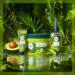  Herbal Essences Herbal Essences Nourishing Mask Avocado Oil and Aloe Vera Dry Hair and Scalp 450 ml - Buy Online on GoSupps.com
