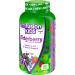 Vitafusion Kids Elderberry Gummy Vitamins 60Ct - Immune Support Gummies for Kids - Buy Online on GoSupps.com