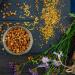 Earthbreath Bee Pollen Granules 1.5 kg - Pure Raw Natural Immunity Support - No Artificial Additives - Healthy Boost (Pack of 1) - Buy Online on GoSupps.com