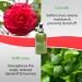 Thann Oriental Essence Shampoo - Extra Nourishing 250ml | Buy Internationally | Best Hair Care - Buy Online on GoSupps.com