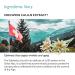Edelweiss Lifting Serum | Buy Premium Anti-Aging Serum for Youthful Skin - International Shipping Available - Buy Online on GoSupps.com