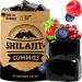 5 elementum Shilajit High Potency Gummies - 1600mg per daily dose (1 month supply) - With Tibetan berries - 100% Natural &
