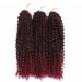 3 Packs Passion Twist Crochet Hair - 12 Inch Kinky Curly Braids for Short Marlybob - T1B/Bug Hair Extensions - Buy Online on GoSupps.com