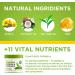 WELLUTION Natural Eczema and Psoriasis Cream - Intensive All-in-1 Treatment for Skin Irritations - Made in USA - Buy Online on GoSupps.com