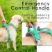 Thinkpet XL Reflective Dog Harness with Handle | Adjustable Breathable No Choke Design | Blue-Green - Perfect for Easy Control and Comfort - Buy Online on GoSupps.com