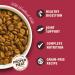 Lily's Kitchen Made with Natural Ingredients Adult Dry Dog Food Salmon & Venison Grain Free Recipe 12kg - Buy Online on GoSupps.com