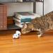 Kittio Robo Mouse: Interactive Cat Toy with Smart Steering Sensors - USB Charging - Buy Online on GoSupps.com