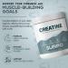 SURPO Micronized Creatine Monohydrate Powder - 300g | Pure Unflavored Gluten-Free & Non-GMO | 60 Servings for Muscle Recovery & Growth | International Shipping Available - Buy Online on GoSupps.com