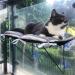 Cat Window Perch Hammock Seat with 4 Suction Cups for 360 Sunbathing and Napping - Indoor Cat Bed - Buy Online on GoSupps.com