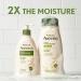 Aveeno Daily Moisturizing Body Lotion - Soothing Oat & Rich Emollients - 12 Fl Oz (Pack of 6) - Buy Online on GoSupps.com