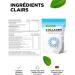  Vit4ever Collagen powder 500g - 100% bioactive hydrolyzed collagen peptides - type 1 and 3 collagen - tasteless - no added sugars - Buy Online on GoSupps.com