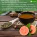 Lavendium Premium 170g (6oz) Guava Dried Leaves (CUT & SIFTED) 100% Natural & Pure from Dried Guava Leaves Guava Loose Leaf Tea No Additives No Caffeine Vegan Guava 6oz - Buy Online on GoSupps.com