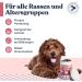 Felmo Digestive Snacks for Dogs (180g) - Probiotic Treats for Intestinal Health Grain & Sugar Free Boosts Immune System - Buy Online on GoSupps.com