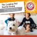 Arm & Hammer Treadz Gorilla Dental Toy for Strong Chewers - Small Size - Buy Online on GoSupps.com