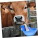 STOBAZA Cow Drinking Bowl Stainless Steel Water Fountain Cow Plushies Automatic Livestock Drinker Sink Water Cup Poultry - Buy Online on GoSupps.com