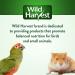 Wild Harvest Stuffed Logz - Edible Treat for Rabbits, Guinea Pigs, and Chinchillas - Artificial Peanut Butter Flavor - 1 Count - Buy Online on GoSupps.com