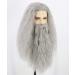 Topcosplay Wig and Beard Men's Long Grey Wig Cosplay Wizard Sorcerer Prophet Wig for Carnival Halloween Costume - Buy Online on GoSupps.com