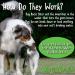 Dog Rocks 100% Natural Urine Patch Preventer - 200g Bag - Buy Online on GoSupps.com