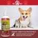 KinderPet Pee Stop Spray Urine Stop for Cat and Dog Repellent Stop Cats and Dogs Repeat Marking Indoors and Outdoors 100% Natural Enzyme Urine Destroyer 250ml - Buy Online on GoSupps.com