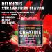 NUTRAGOGO NSF Certified Creatine Gummy - Creatine Monohydrate Gummies for Men & Women-5g of Creatine Monohydrate per Serving - Sugar Free Vegan Strawberry Electrolyte Chews 135 Count - Buy Online on GoSupps.com