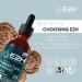 E2H Turkey Tail Mushroom Extract - Immune & Digestive Support Supplement - Non-GMO Vegan - 2 Fl Oz - Buy Online on GoSupps.com