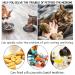 Buy Ozmw 1 PC Blue Tablet Dispenser for Cats | International Shipping Available - Buy Online on GoSupps.com