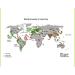 Native American DNA Fingerprint Plus Test - Discover Your Ancestry with Precision - Buy Online on GoSupps.com