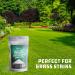 2 lbs Premium Sodium Percarbonate Oxygen Bleach Powder - 99.9% Pure - Multi-Use - Eco-Friendly - Ecoxall Chemicals - Buy Online on GoSupps.com