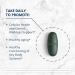 Metagenics PhytoMulti with Iron - Daily Multivitamin Supplement for Multidimensional Health - 60 Tablets - Buy Online on GoSupps.com