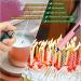 MEIRUBY Lighter Electric Lighter Candle Lighter Rechargeable USB Lighter Arc Lighters for Candle Camping Family Use Rose Gold - Buy Online on GoSupps.com