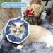 ComSaf Adjustable Starry Pattern Cat Collar - Post-Surgery Protection to Prevent Licking | Soft & Comfortable Cat Band - Buy Online on GoSupps.com