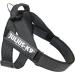 Buy JULIUS K-9 Belt Harness in Color & Gray - Size L - International Shipping Available - Buy Online on GoSupps.com