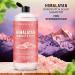 16 fl. oz. Majestic Pure Himalayan Sulfate-Free Dandruff Shampoo - Refreshing Formula for Itchy Dry Scalp - Men and Women - Buy Online on GoSupps.com