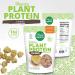 Plant Basics Hearty Plant Protein Chunks 1lb - Non-GMO, Gluten Free, Vegan Meat Substitute - Buy Online on GoSupps.com