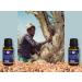 Frankincense Carterii Essential Oil 100% Pure & Organic Therapeutic Grade Aromatherapy Oil | Wild Harvested from East Africa | for Diffuser Massage & Skin Care 15ml - Buy Online on GoSupps.com