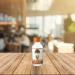 OKAY 100% Pure Wheat Germ Virgin Oil 1oz - Premium Skin & Hair Care - Shop Internationally - Buy Online on GoSupps.com
