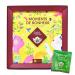 English Tea Shop - Coffret th s et infusions bio - Moments de bonheur - 3 th s et 1 tisane bio dans une bo te de 32 sachets - Cadeau offrir
